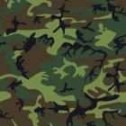 Perfect Office Camouflage