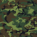 Perfect Office Camouflage