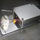 Compressed Air Powered “Better Moustrap” is cool!