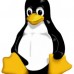 Linux vs. AIX