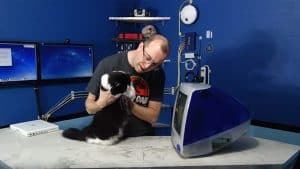 Make-an-iMac-Cat-House-0002