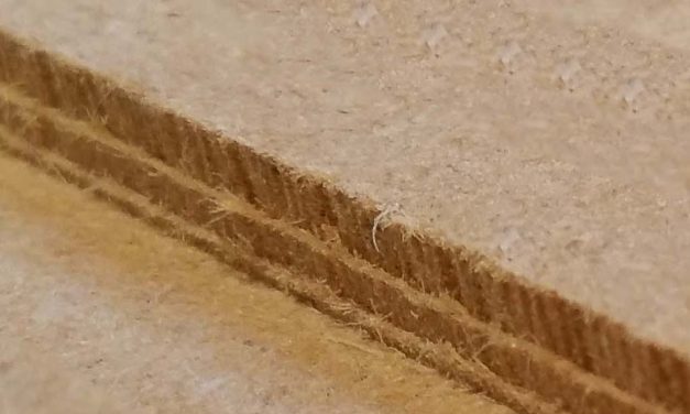 BLOG: Shop Updates & X-Carve Depth Issues Fix