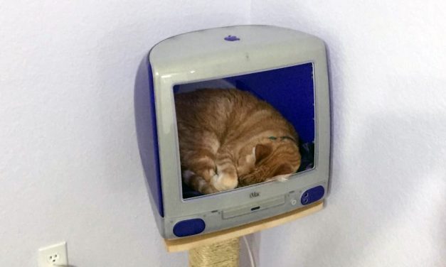 Make an iMac Cat House