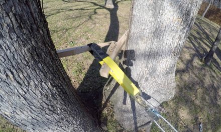 Glue vs. Screws: Which one is stronger?