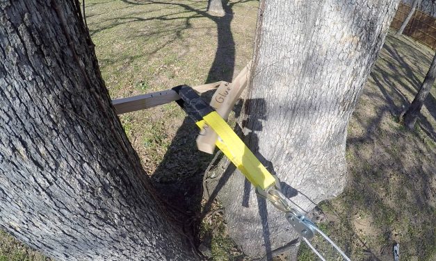 Glue vs. Screws: Which one is stronger?