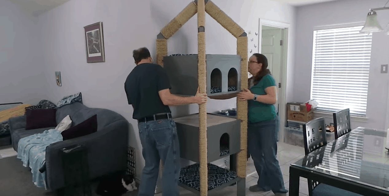 Make the Ultimate Cat Tower