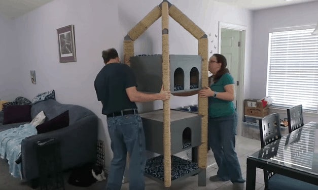 Make the Ultimate Cat Tower